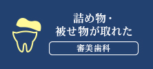 詰め物・ 被せ物が取れた 審美歯科